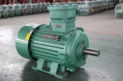 粉塵環(huán)境應(yīng)該如何選擇粉塵防爆電機(jī)型號？